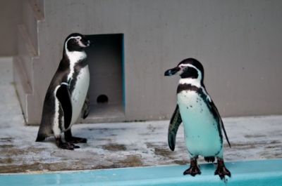 埼玉県こども動物自然公園