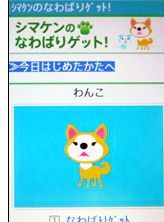 シマケンのなわばりゲット！