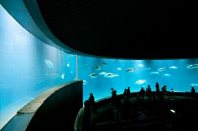 葛西臨海水族園