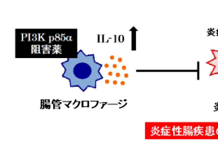 リファイド