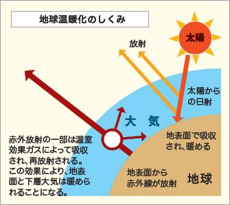 障害者雇用