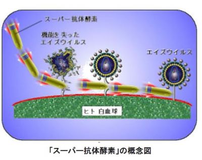 宇田泰三教授