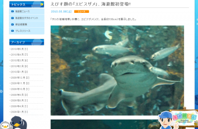 エビスザメ