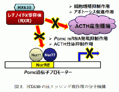 リファイド