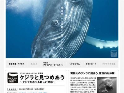 クジラと見つめあう～クジラをめぐる新しい物語